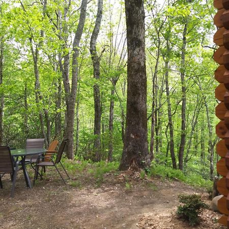 Two Rivers Cabins - The Mountaintop Brevard Ngoại thất bức ảnh