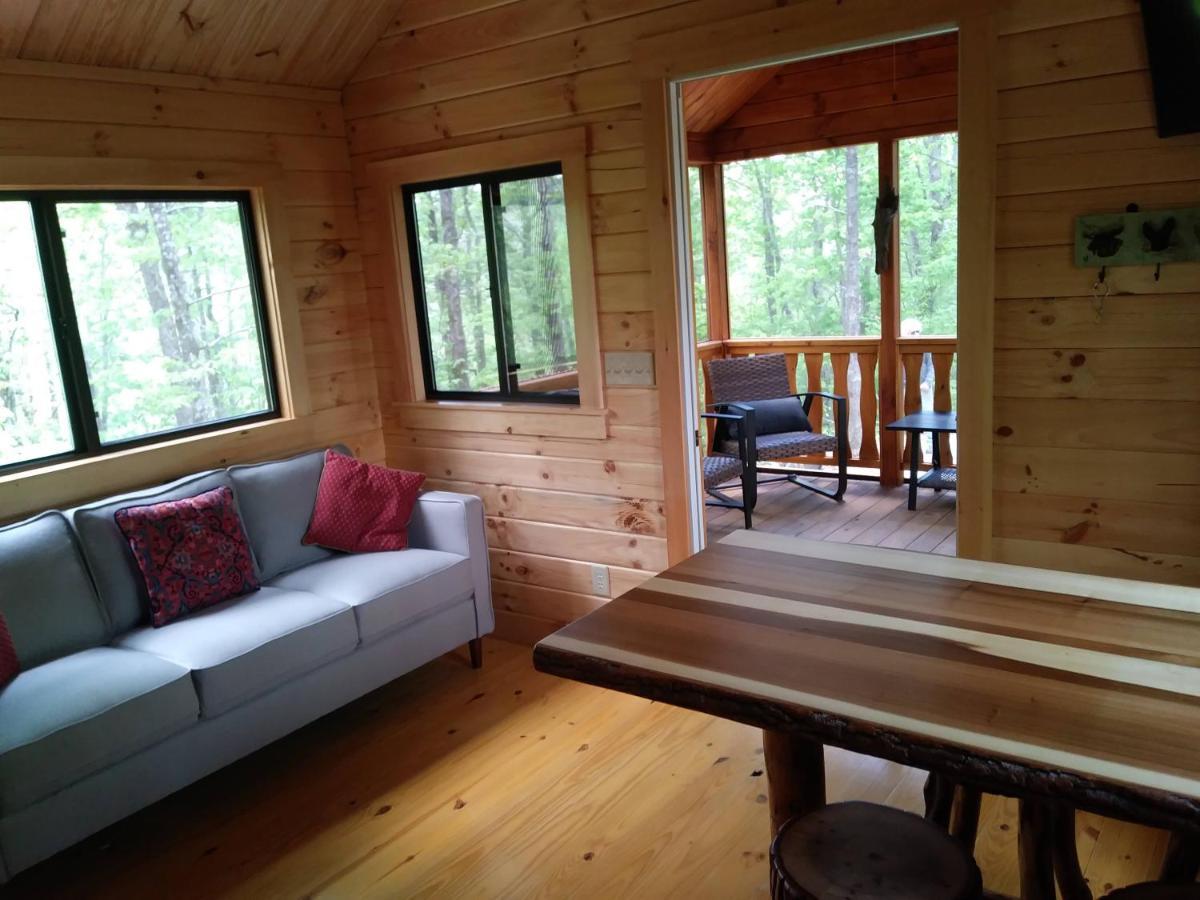 Two Rivers Cabins - The Mountaintop Brevard Ngoại thất bức ảnh