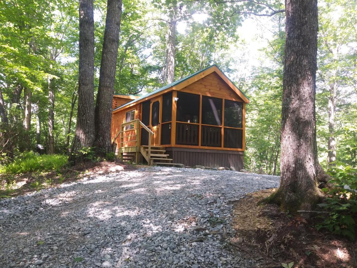 Two Rivers Cabins - The Mountaintop Brevard Ngoại thất bức ảnh
