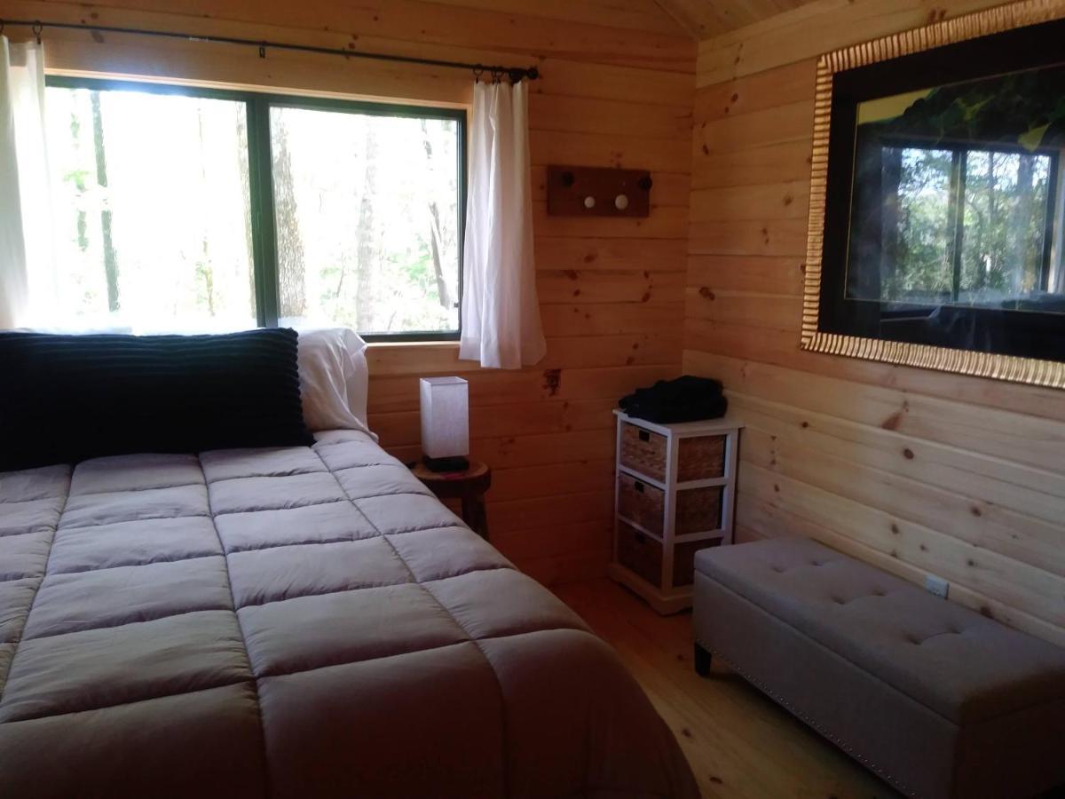 Two Rivers Cabins - The Mountaintop Brevard Ngoại thất bức ảnh