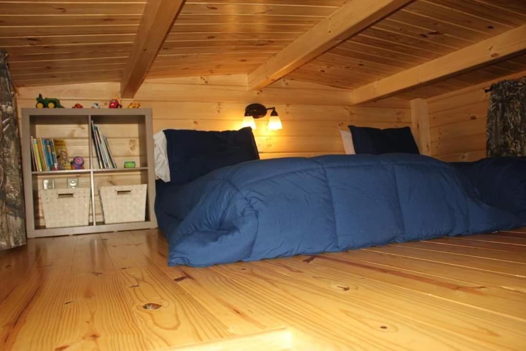 Two Rivers Cabins - The Mountaintop Brevard Ngoại thất bức ảnh